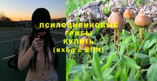 соль ск Алзамай